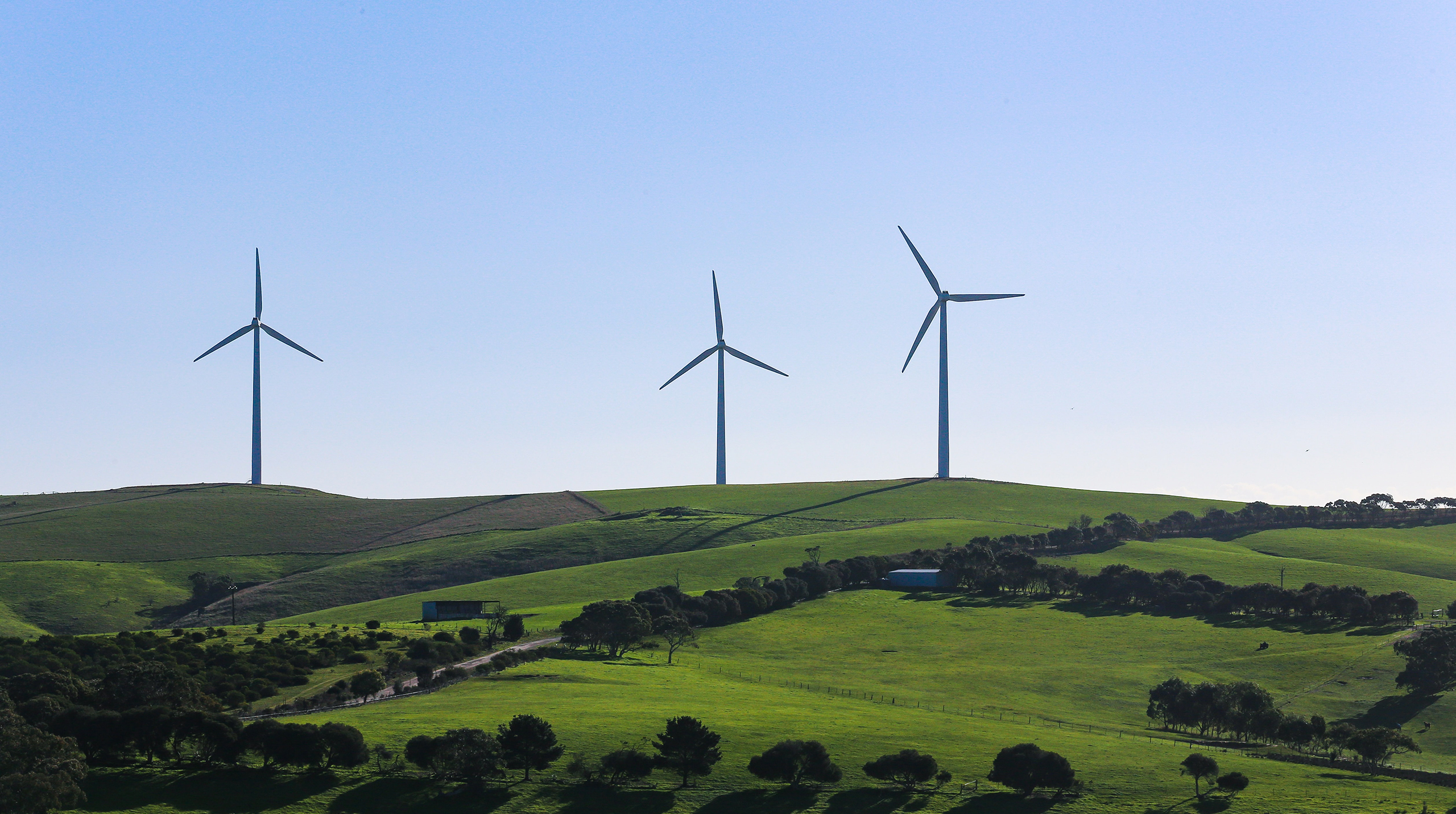 Photo by Alex Eckermann on Unsplash